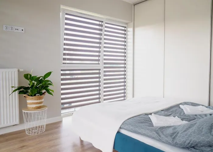 Fire Energy Apartament *